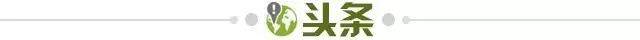 1773014252221074202.jpg 头条.jpg